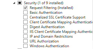 iis06.png